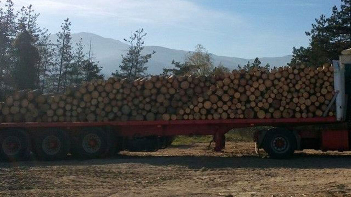Как можем да се снабдим с дърва за огрев