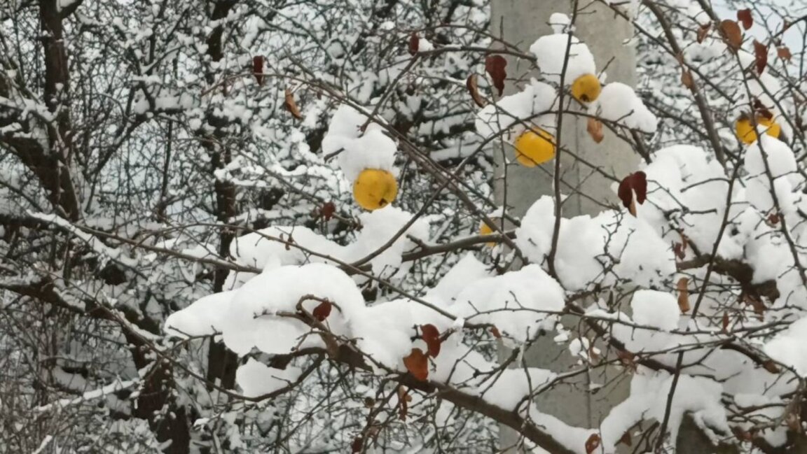 Snow, rain and freezing temperatures