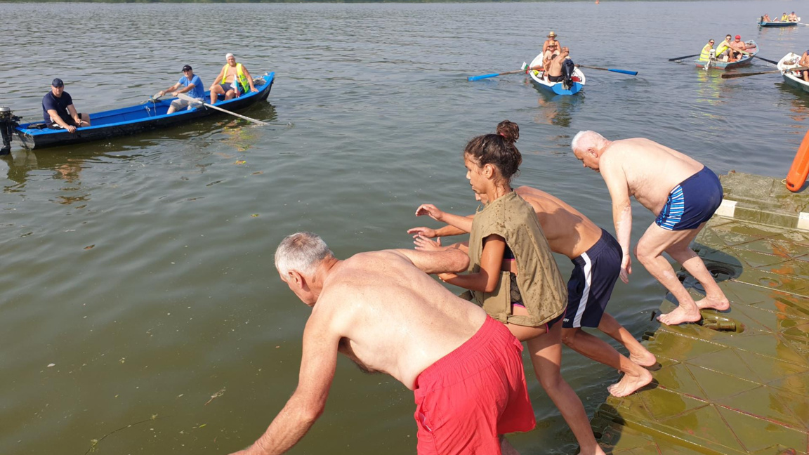 68. Massenschwimmen in der Donau