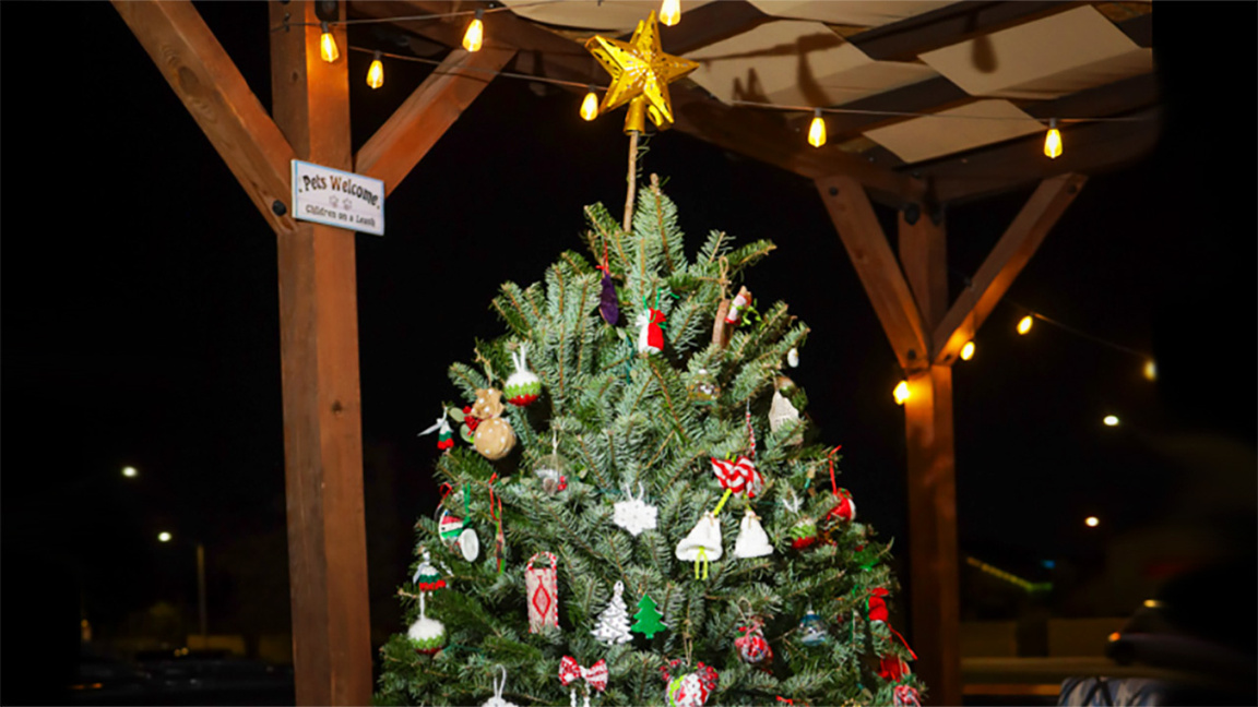 Голоса из Лас-Вегаса – болгарские благопожелания с Рождеством и Новым годом!