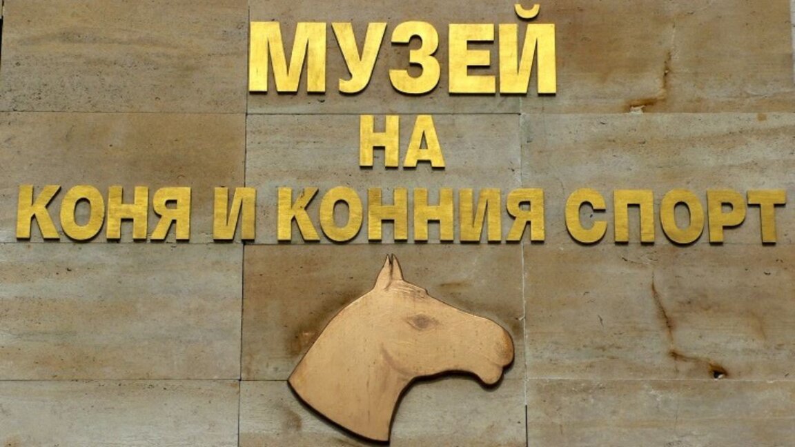 A day at the Museum of Horses and Equestrian Sports