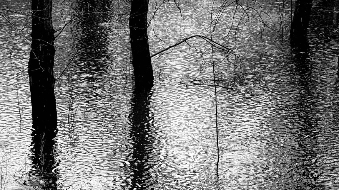 Снимката е илюстративна.