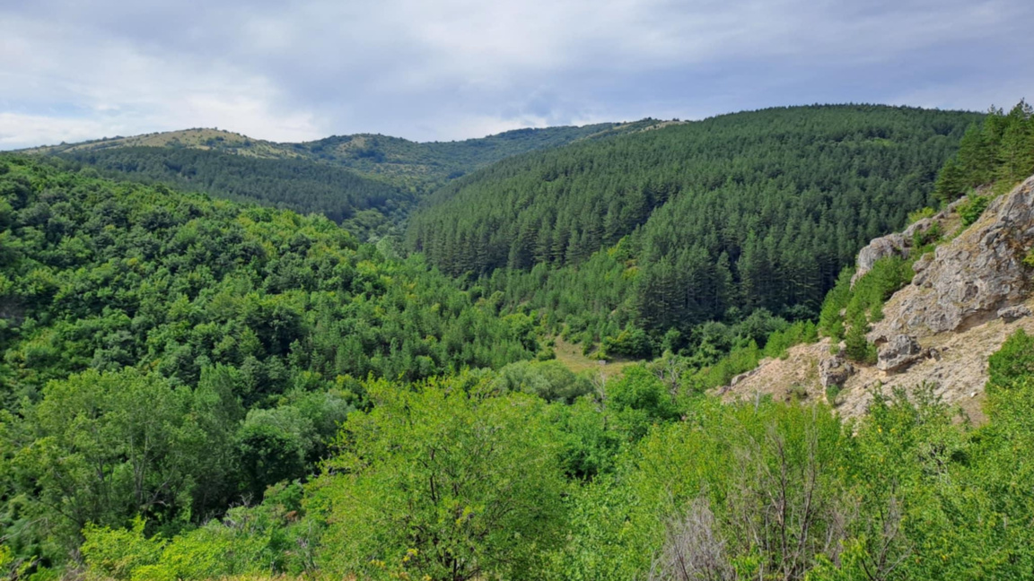 Седмица на гората в Националната гимназия по горско стопанство, Велинград